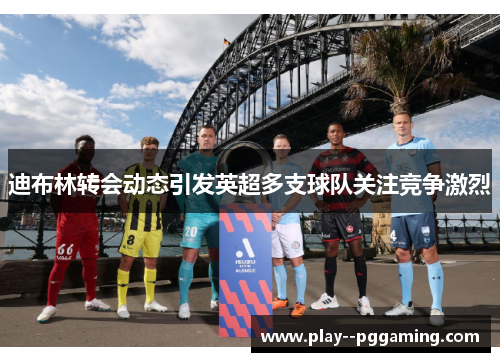 迪布林转会动态引发英超多支球队关注竞争激烈 迪布林转会动态引发英超多支球队关注竞争激烈