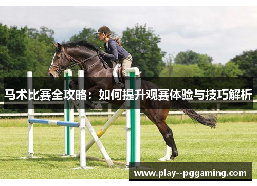 马术比赛全攻略：如何提升观赛体验与技巧解析