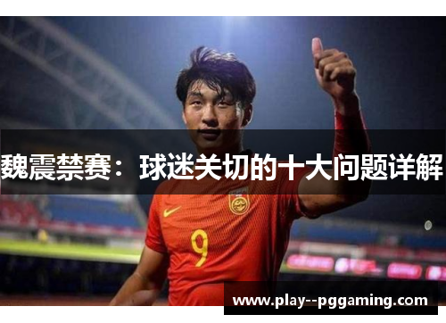 魏震禁赛:球迷关切的十大问题详解 魏震禁赛:球迷关切的十大问题详解